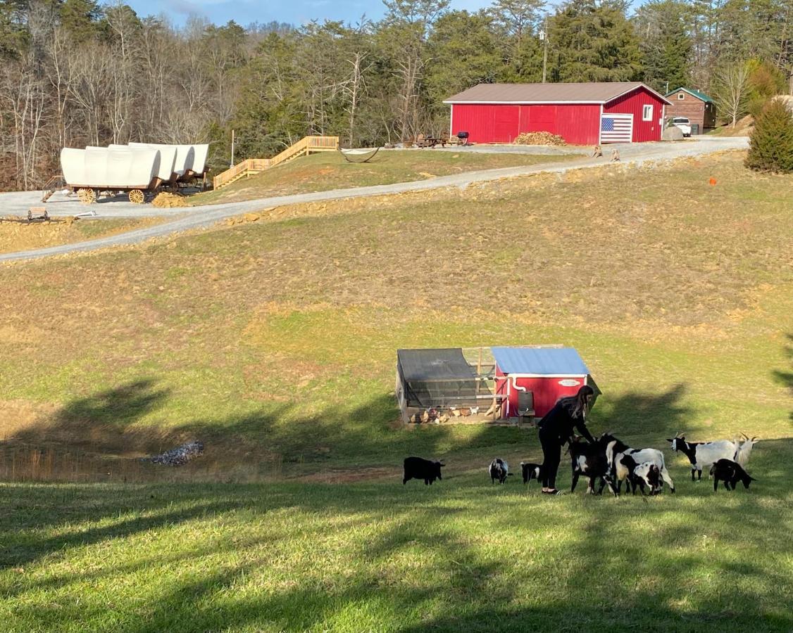 Smoky Hollow Outdoor Resort Covered Wagon Sevierville Zewnętrze zdjęcie